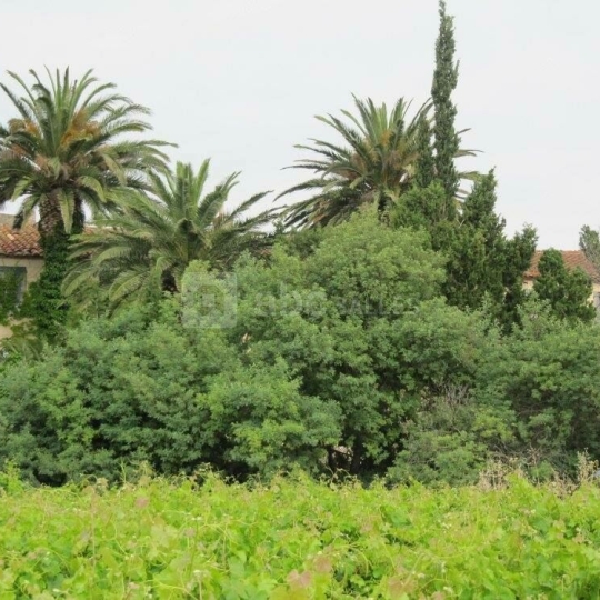 KIOSK TRANSACTIONS : Domain / Estate | SALEILLES (66280) | 500.00m2 | 1 050 000 € KIOSK TRANSACTIONS : Domain / Estate | SALEILLES (66280) | 500.00m2 | 1 050 000 €